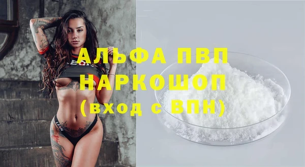сатива Горно-Алтайск
