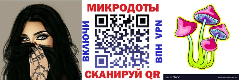 Псилоцибиновые грибы мицелий  где можно купить   Ельня 